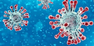 Featured image for Coronavirus Update From CEO